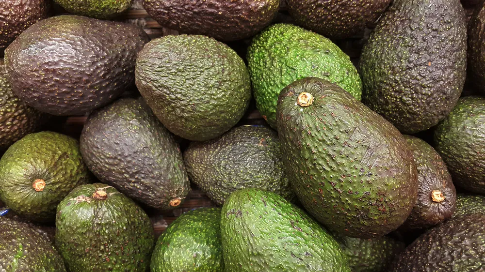 Avocado Recall March 2019: Possible Listeria Contamination