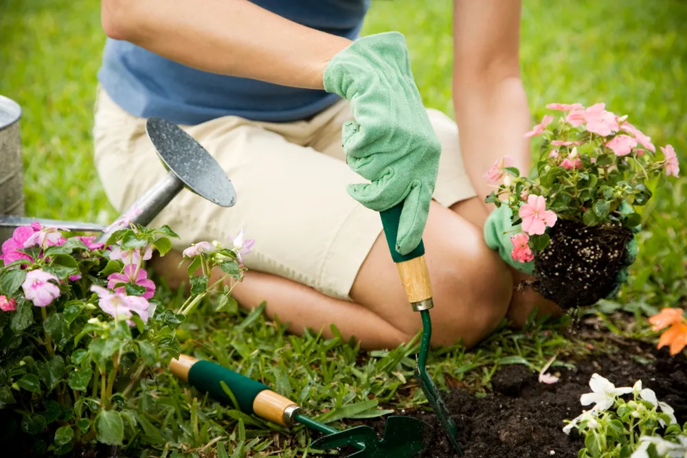 The Health Benefits of Gardening