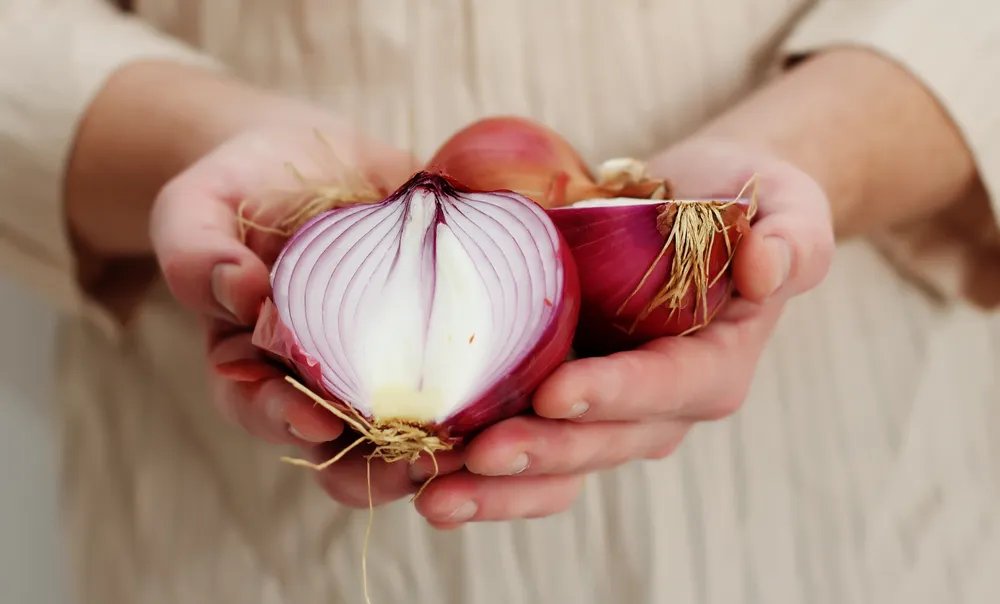 The Incredible Health Benefits of Onions