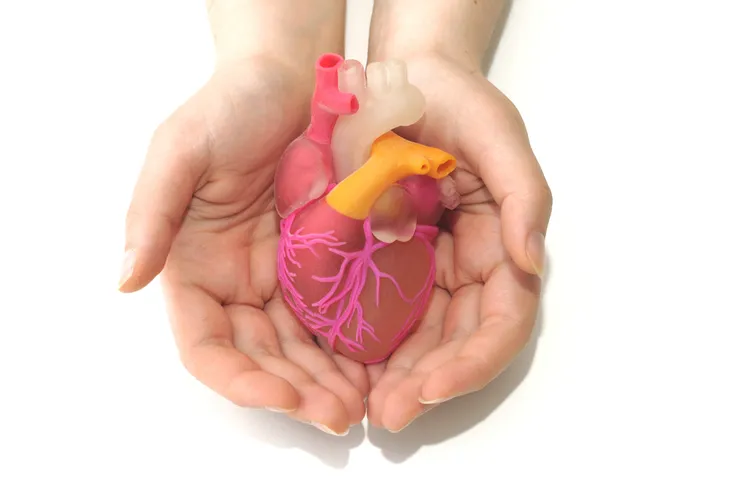 Valve cardiaque qui fuit : les symptômes, causes et traitements –  ActiveBeat – Your Daily Dose of Health Headlines
