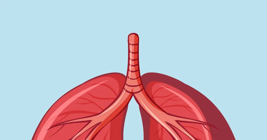 Mesothelioma: Symptoms, Causes, Diagnosis and Treatment