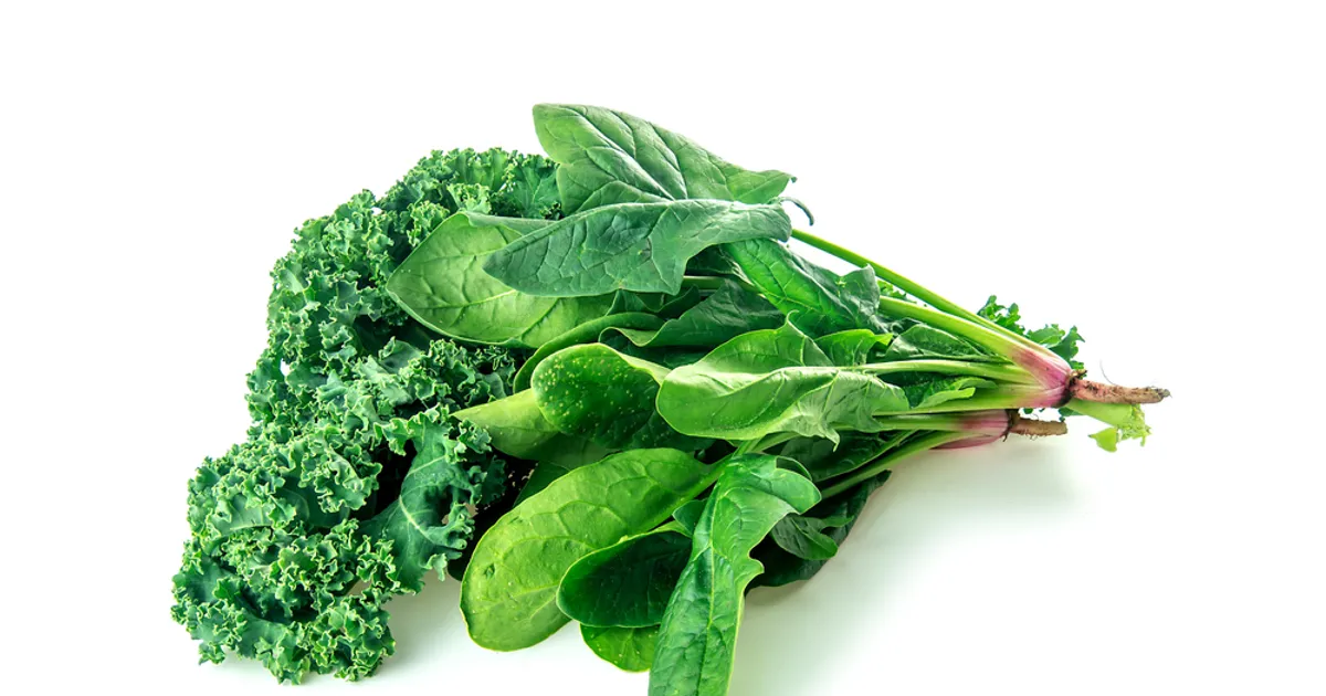 Kale vs. Spinach Which Leafy Green is King? ActiveBeat Your Daily Dose of Health Headlines