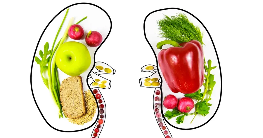 Foods Good For Your Kidneys