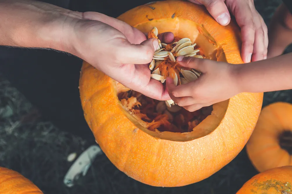 The Incredible Health Benefits of Pumpkin Seeds