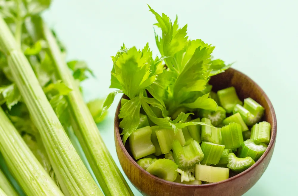 The Incredible Health Benefits of Eating Celery