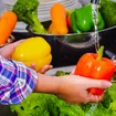 Facts on Safe Food Handling at Home