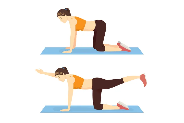 Core Exercises for Seniors – ActiveBeat – Your Daily Dose of