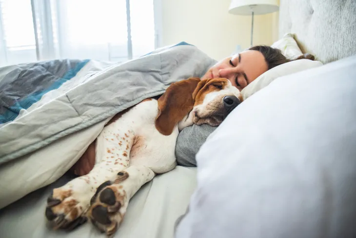 Spring Season Sleep Tips – ActiveBeat – Your Daily Dose of Health Headlines