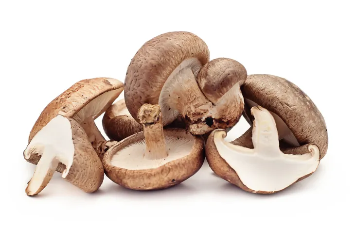 Shiitake Mushrooms