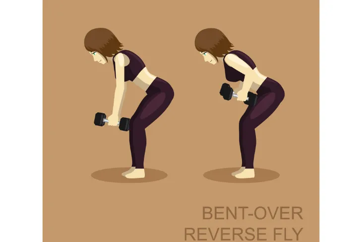 Bent Over Reverse Flies