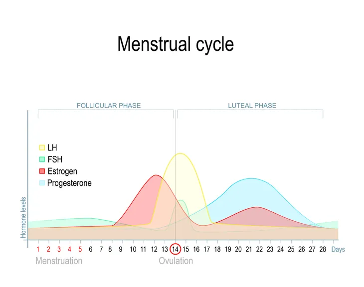 Menstrupedia on X: Premenstrual Syndrome is something which affects almost  90% of the women. These are some of the common symptoms of #PMS . Source: @  ashleesorensencoaching #periods #menstrualhealth #RT   /