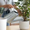 How to Start an Indoor Garden & Top Plants to Grow