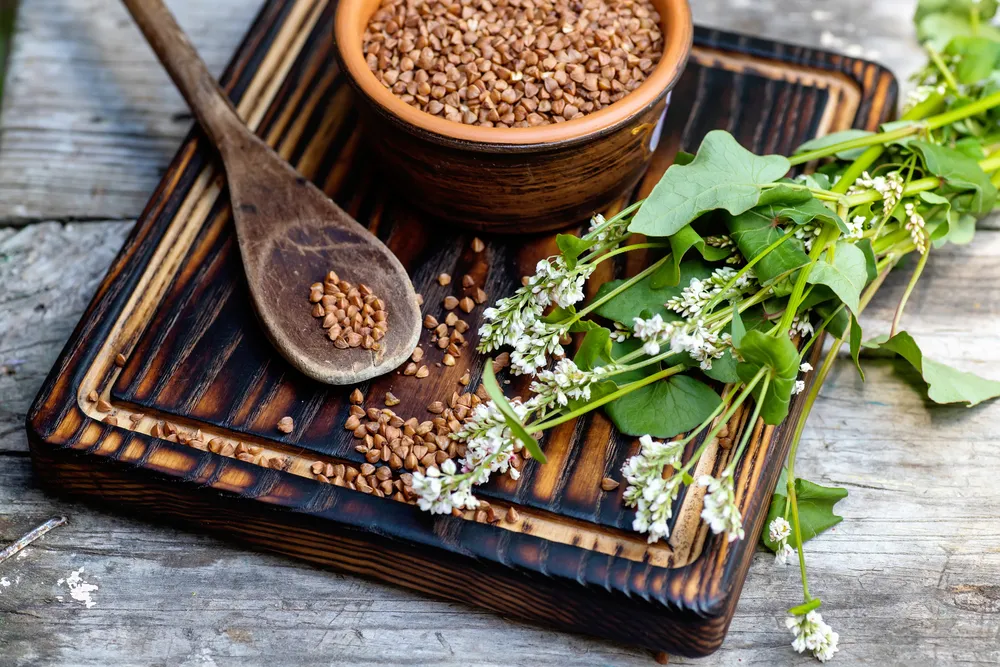 The Incredible Health Benefits of Buckwheat