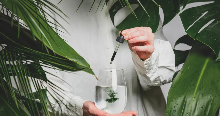 What to Know About Chlorophyll