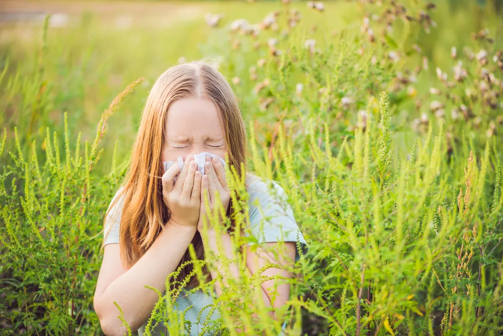 Pollen Is Getting Worse, But You Can Make Things Better With These Tips From An Allergist