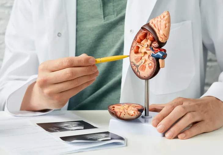 11 Signs and Symptoms of a Kidney Infection – ActiveBeat – Your Daily Dose  of Health Headlines