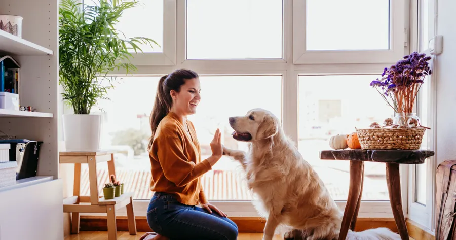 Five Ways to Help Your Dog Live a Longer, Healthier Life
