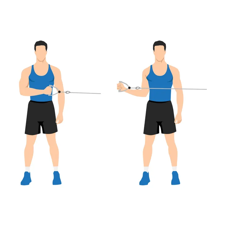 Rotator cuff discount resistance band exercises