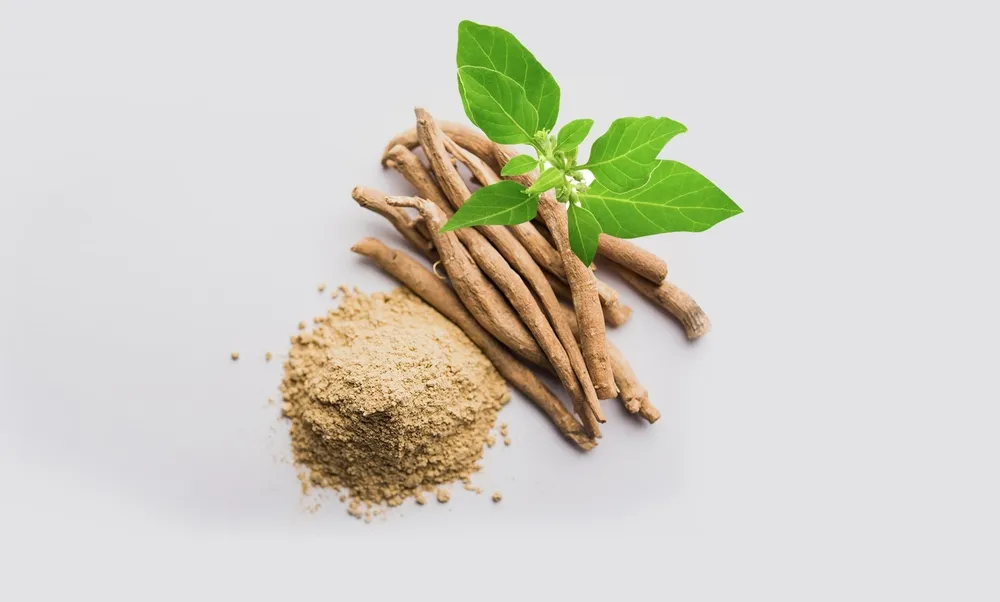 The Benefits of Ashwagandha