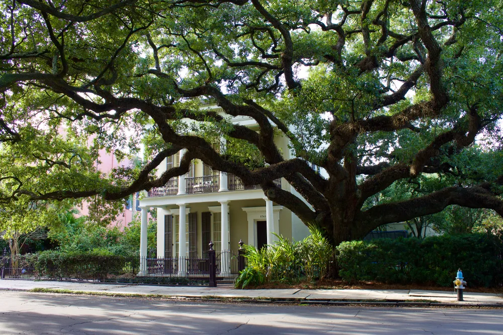12 Things to See and Do in New Orleans