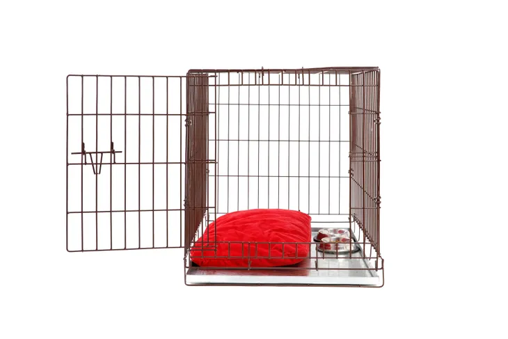 Puppy Crate Training Schedule