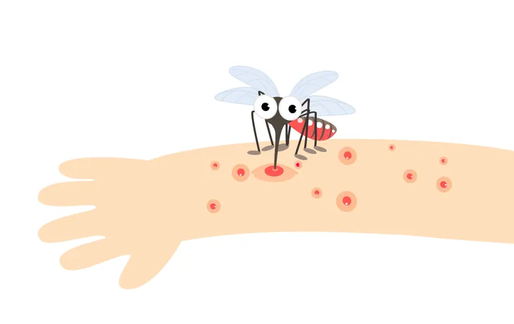 mosquito bite clipart