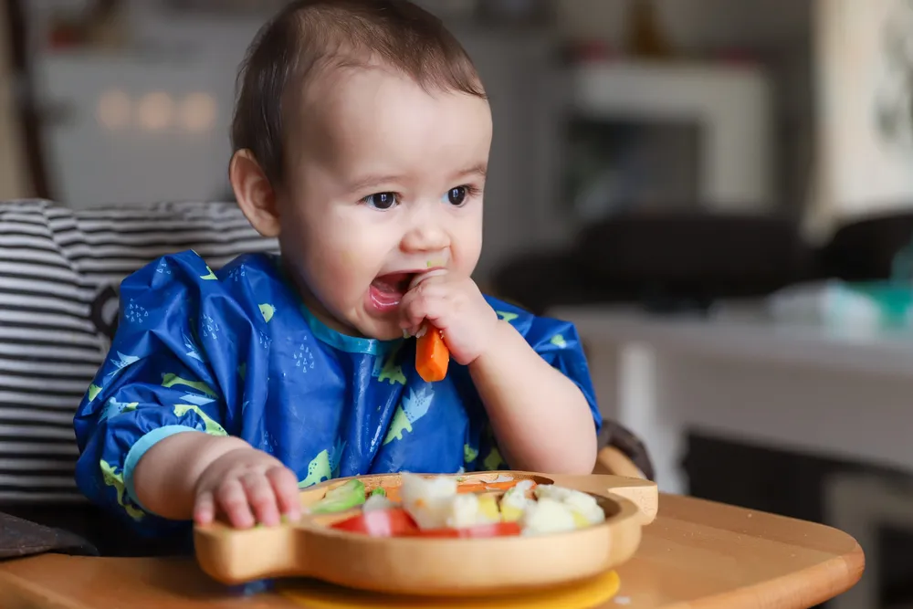Baby Led Weaning: Tips and Tricks for Success