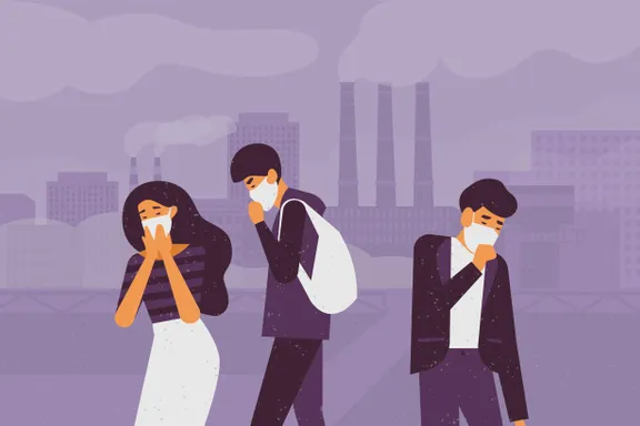 Air Pollution Harms the Brain and Mental Health, Too – A Large-Scale Analysis Documents Effects on Brain Regions Associated With Emotions