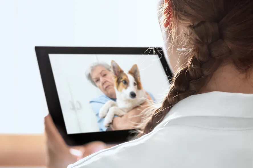 Veterinary Telehealth: What Is It and How Does It Work?