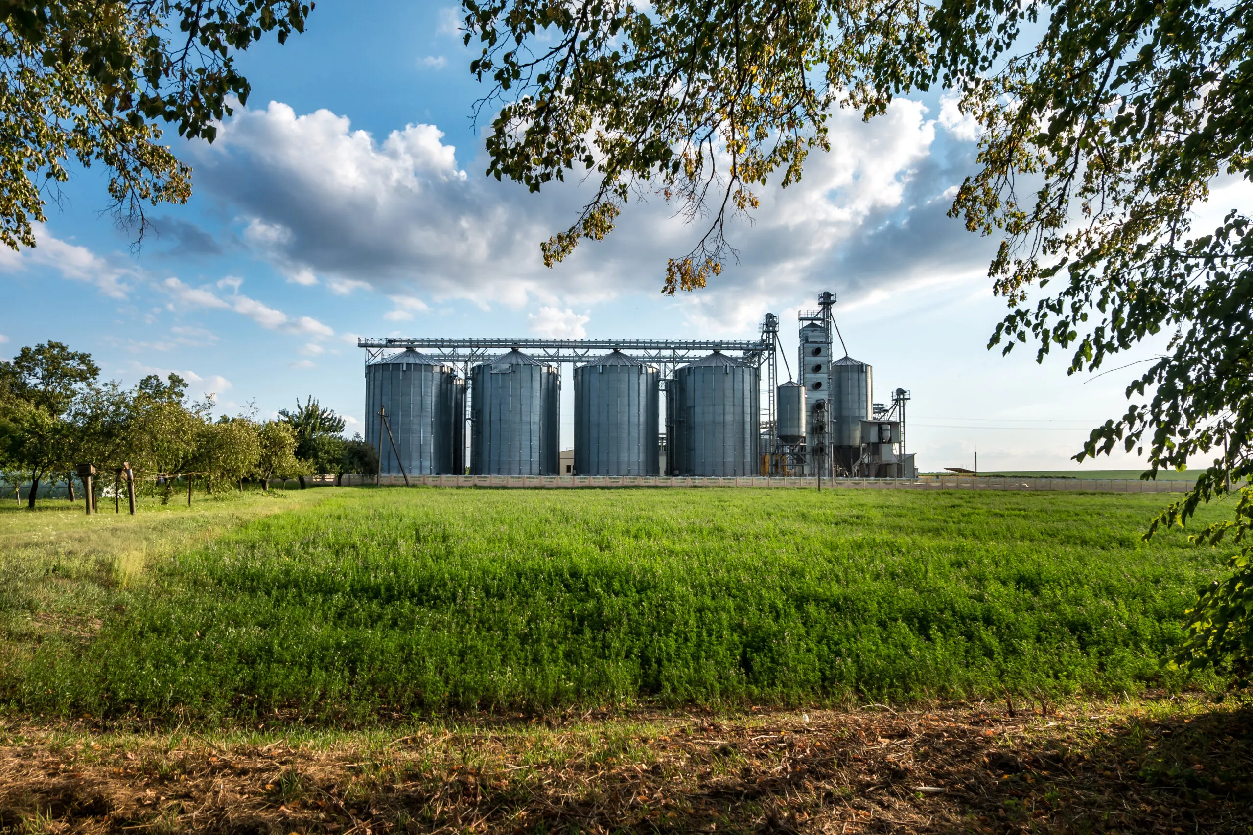 Farm vs. Factory Foods: The Major Health Differences